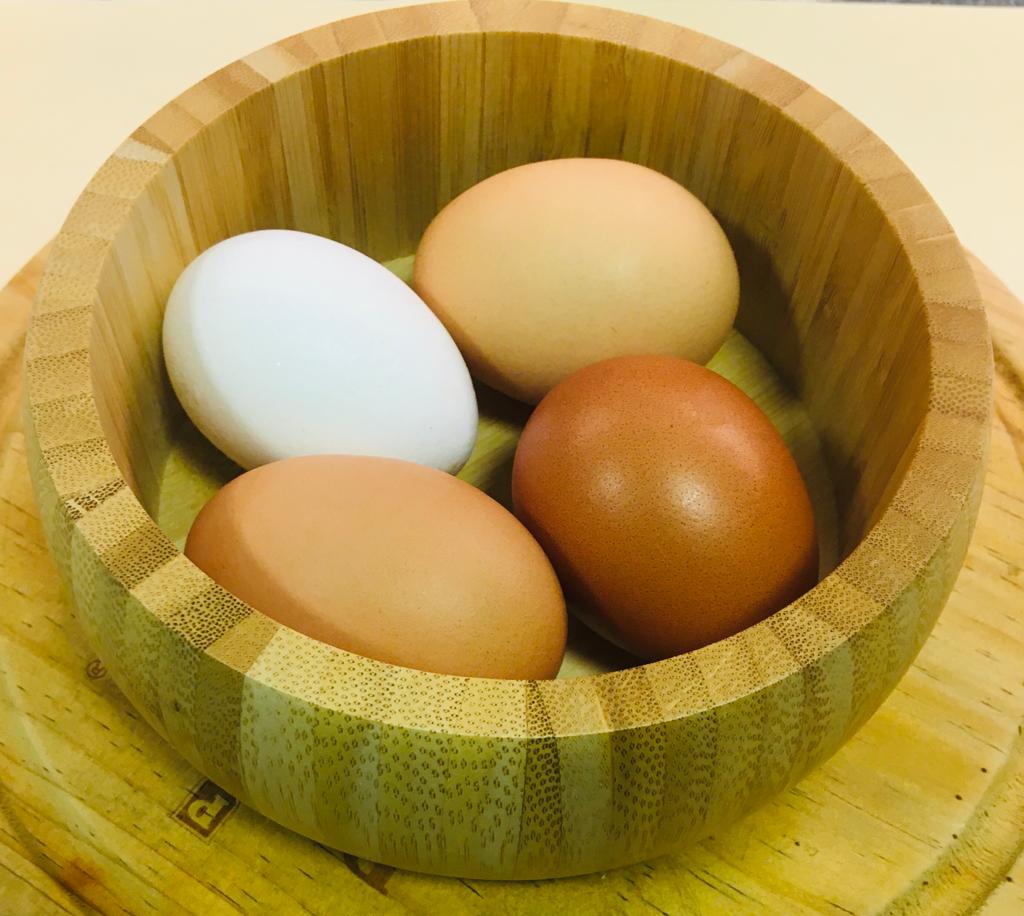 Friolar Ovos - Entre as substâncias presentes no ovo, está a